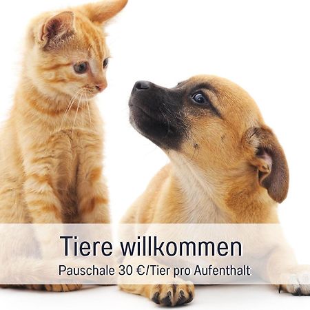 אוברלינגן Rosmarin - Kuschelige Fewo - Romantik & Entspannung Im Whirlpool Auf Privater Terrasse, Ruhe & Hund Willkommen - By Ferienwohnenamsee - מראה חיצוני תמונה